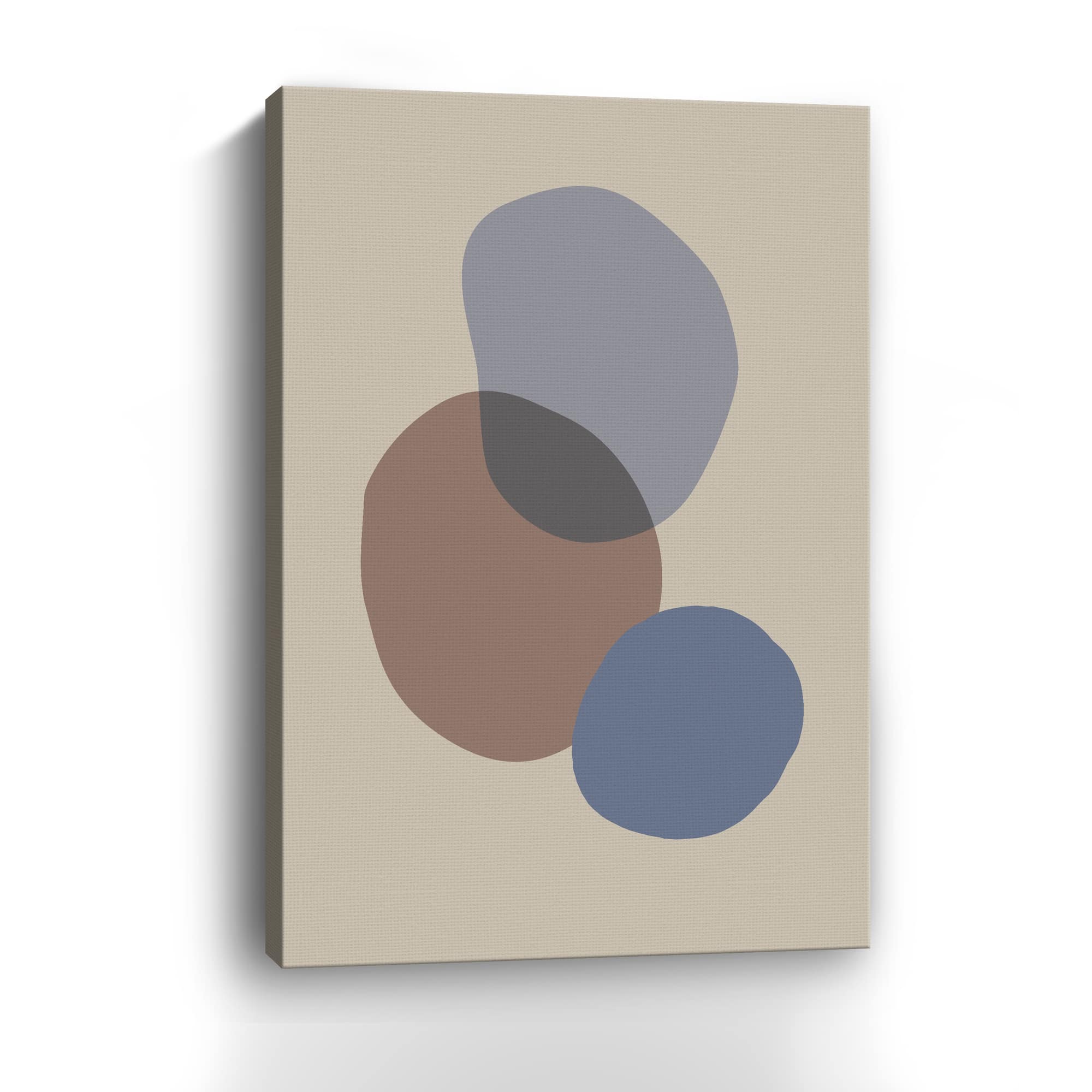 Studio – Organic Shapes 05 Canvas Giclee
